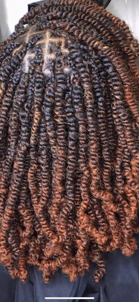 Spring Twist Extensions