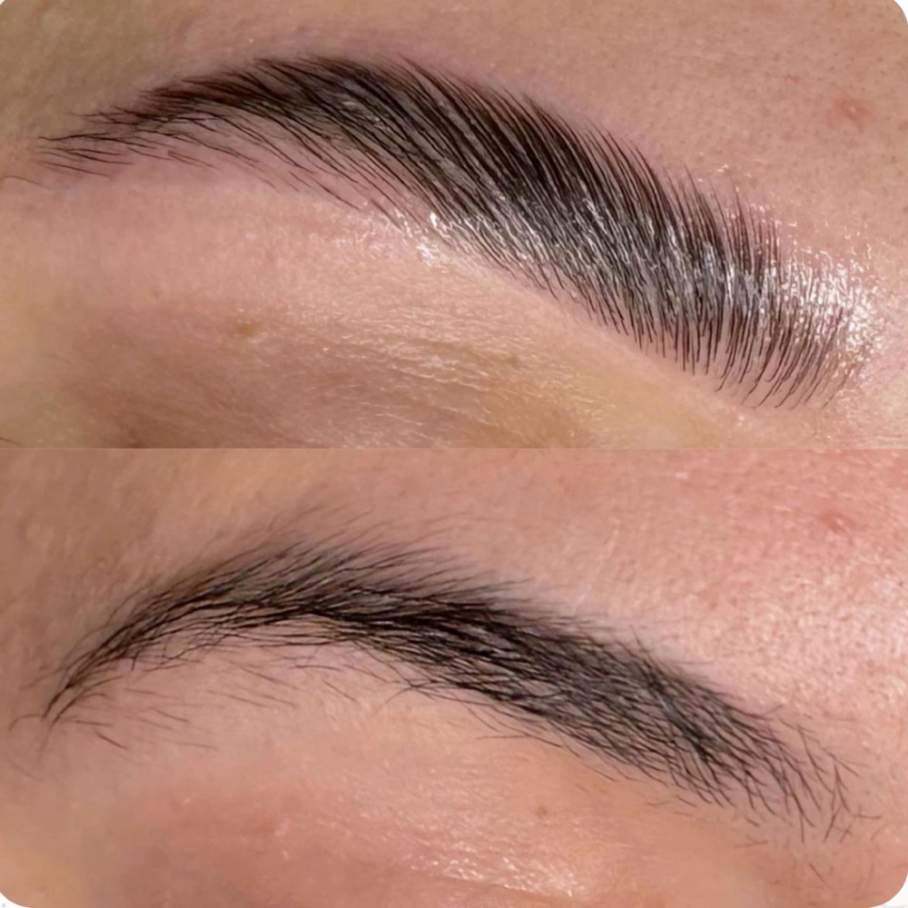 Brow Lamination at The Shelton Studio in Shelbyville, TN