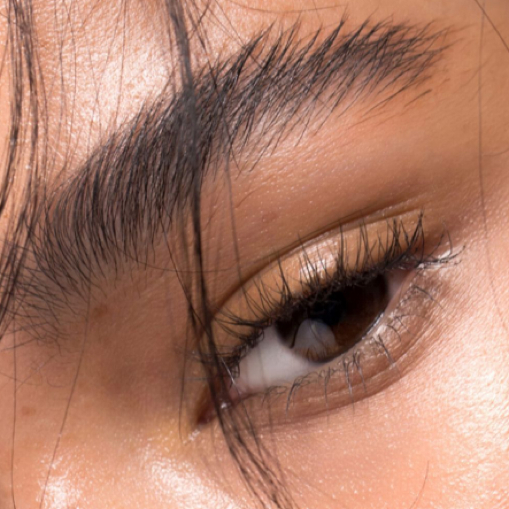 Brow Maintenance at Brows By Lauren Baye in Metarie, LA