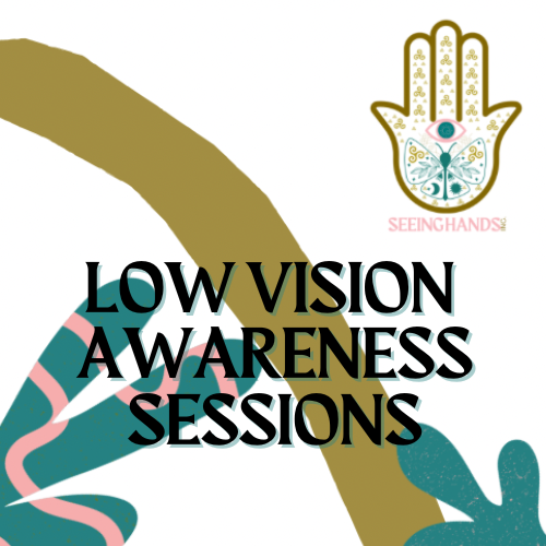 Low Vision Awareness Sessions