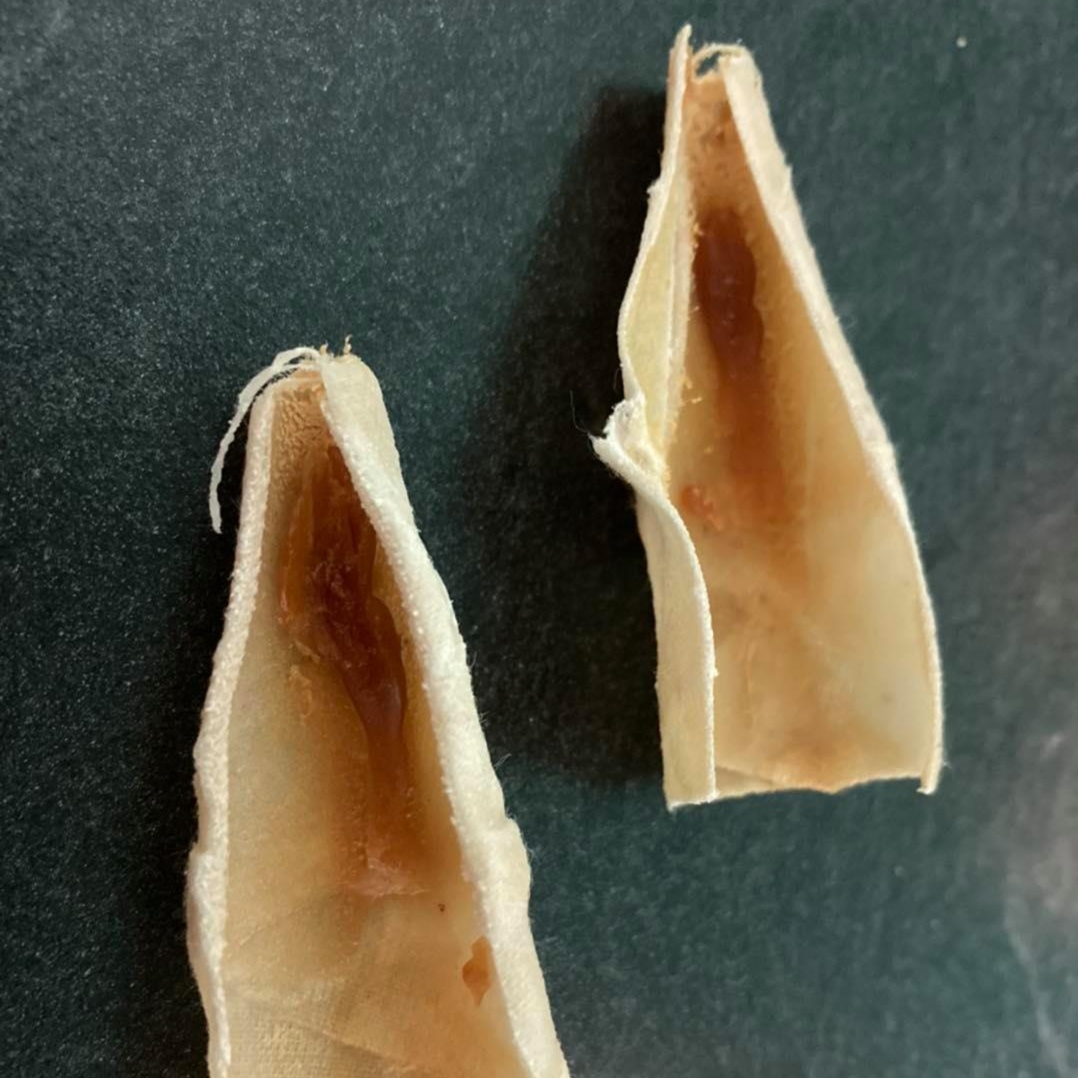 Ear Candling at Essentials in Norton, KS