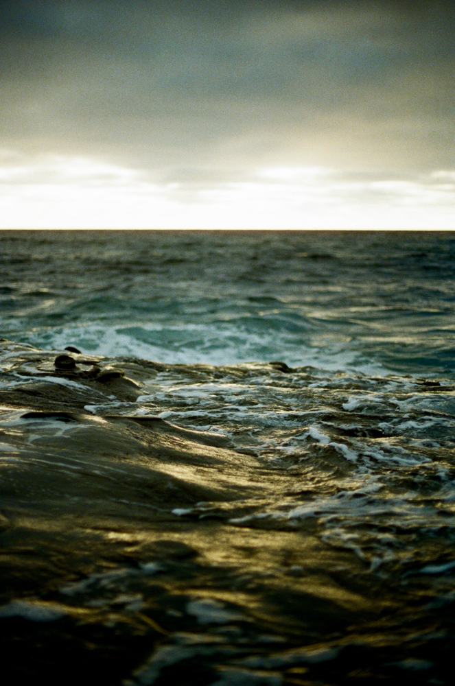 Milbon Repair Wellness Treatment