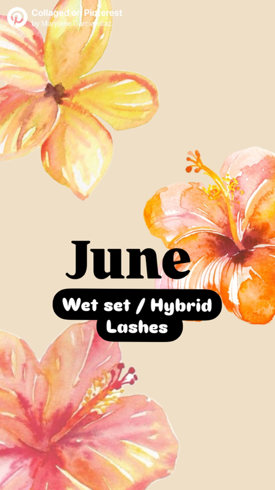 Hybrid/Wet Full Set