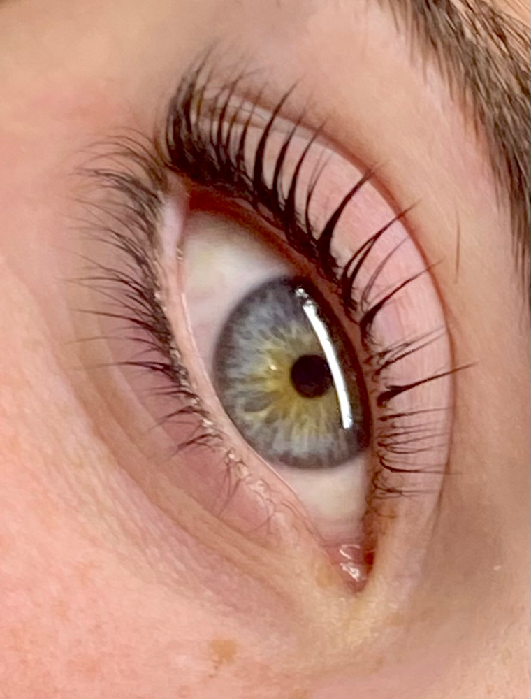 Lash lift (no tint)