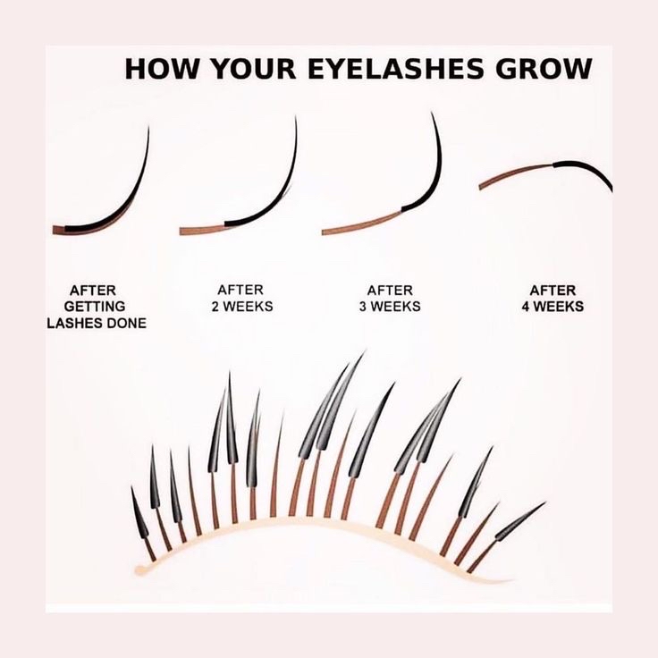 Volume Lash Fill