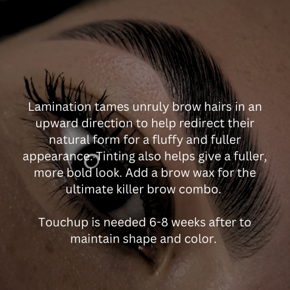 Brow Lamination & Tint at Assure Esthetics by Alisha in York, NE