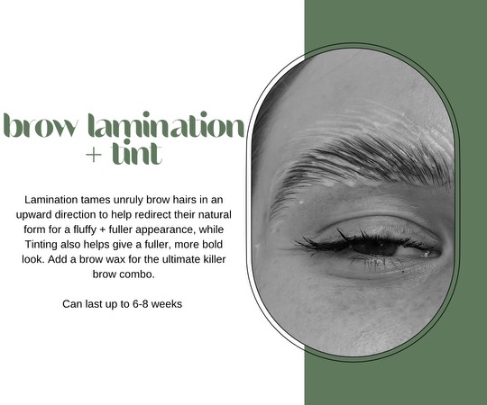 Brow Lamination & Tint