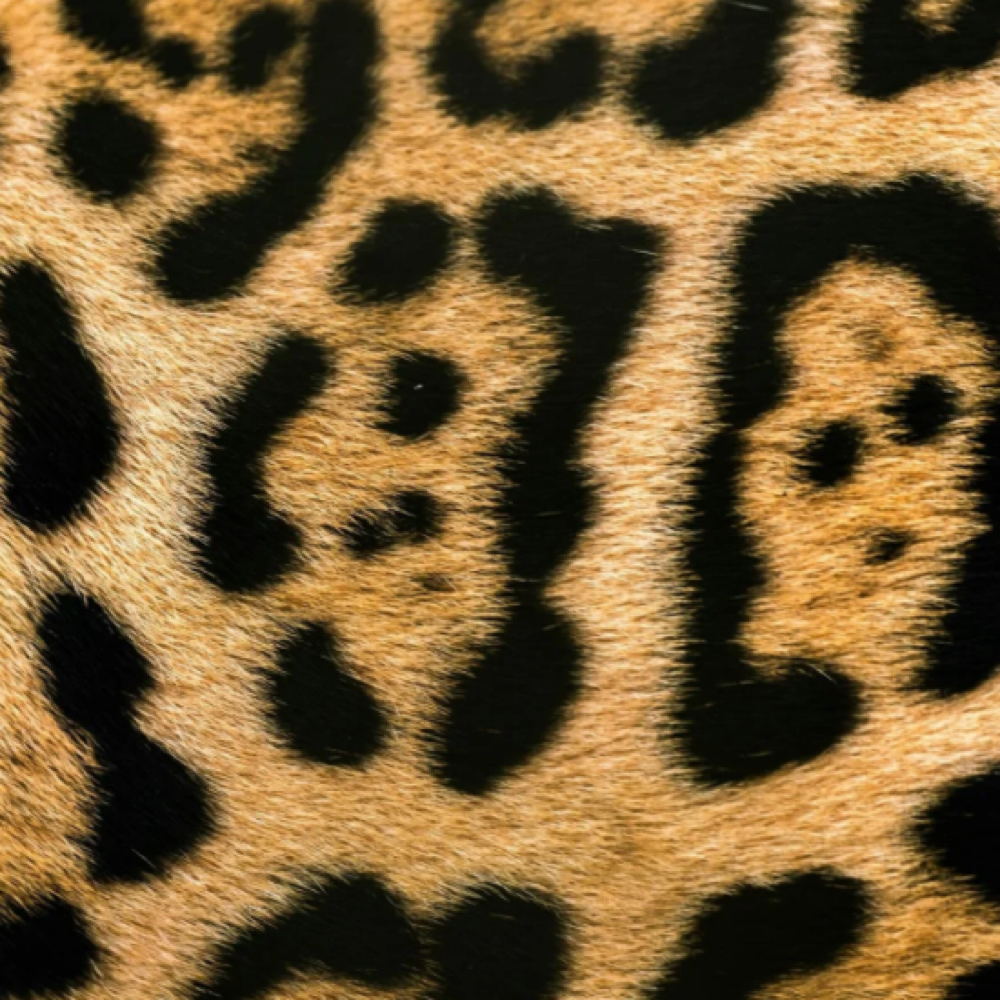 Foregin Lash Fill In at Mini Salon Co. in Bay city, MI