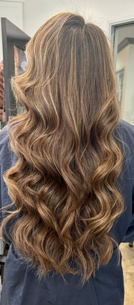 Highlights (Partial) Includes Toner