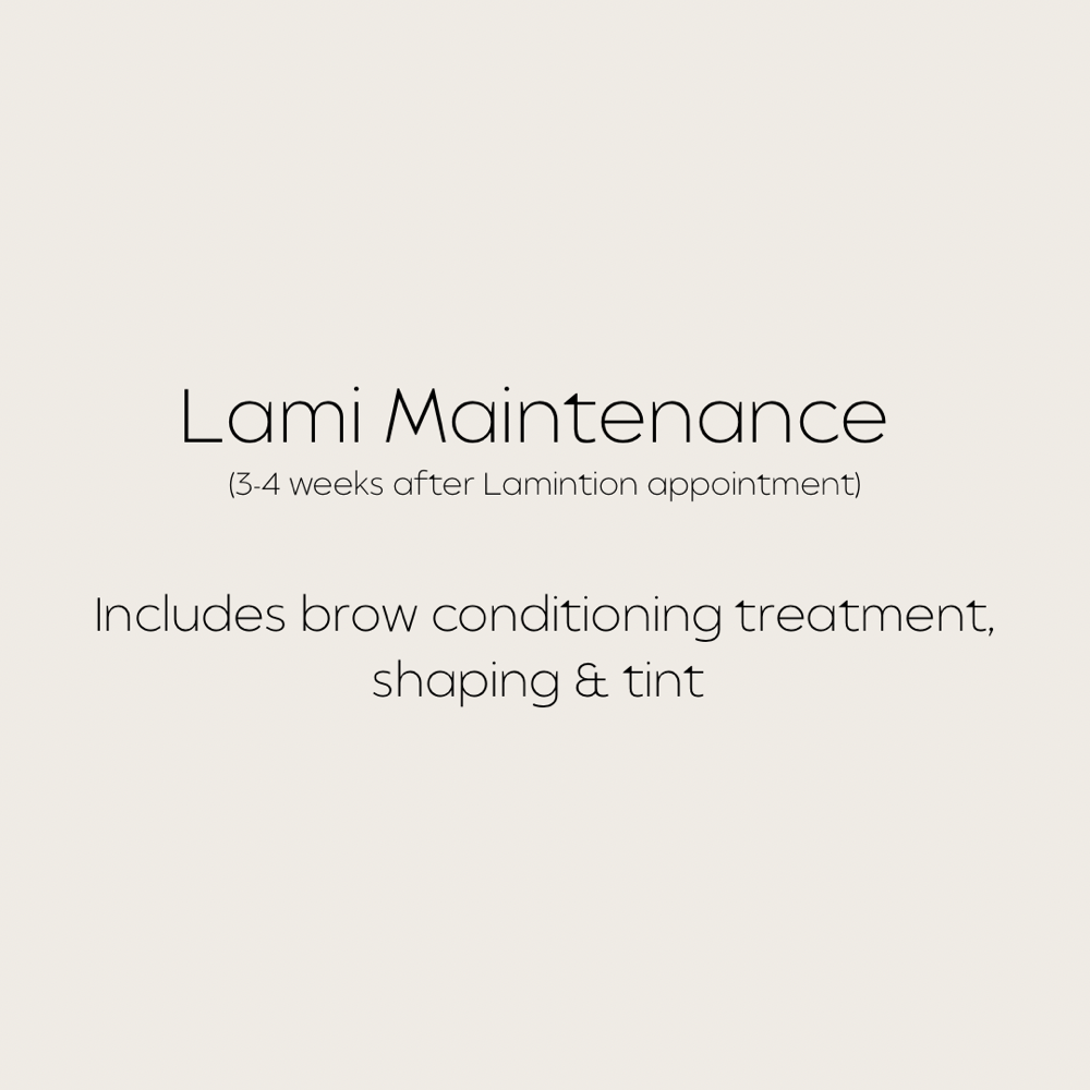 Lami Maintenance