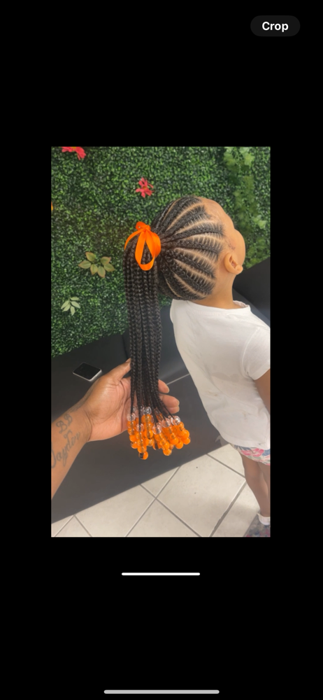 One Braided Ponytail (feed-ins)