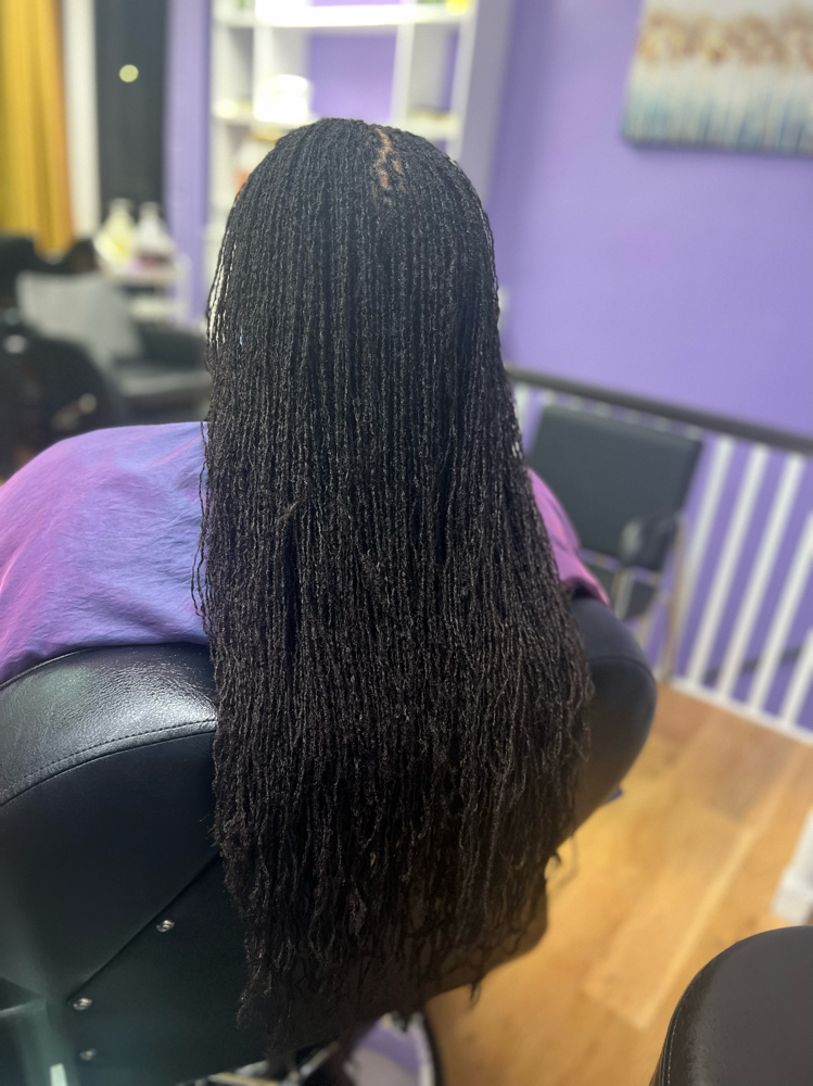 Sisterloc/Reti 4-6 wks/420-500 locs