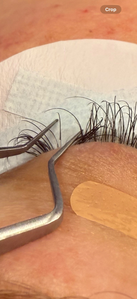 EXTENDED MAINTENANCE