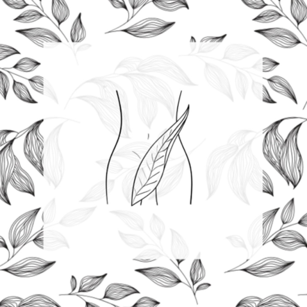 Vajacial - NO WAX at Radiant Rose Wax Studio in Altamonte Springs, FL