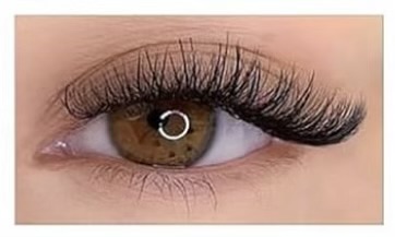 Hybrid Lash • Whispy