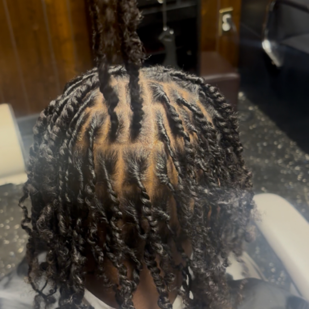 Starter Locs at DreamStyles By Dream in Greensboro, NC