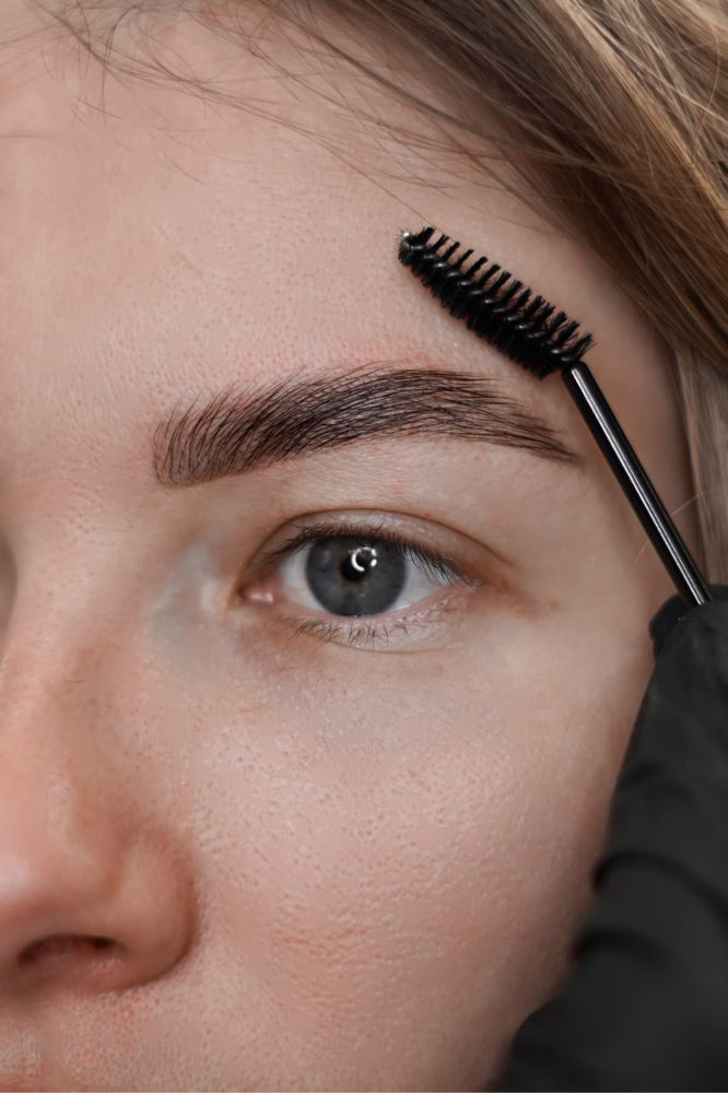 Eyebrow Wax & Tint