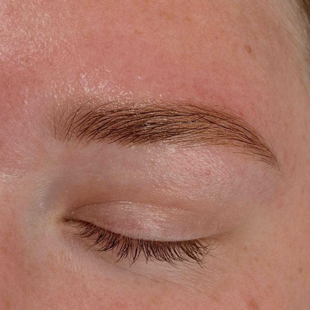 Eyebrow Wax & Hybrid Tint at Eden's Beauty Studio in Feeding Hills, MA