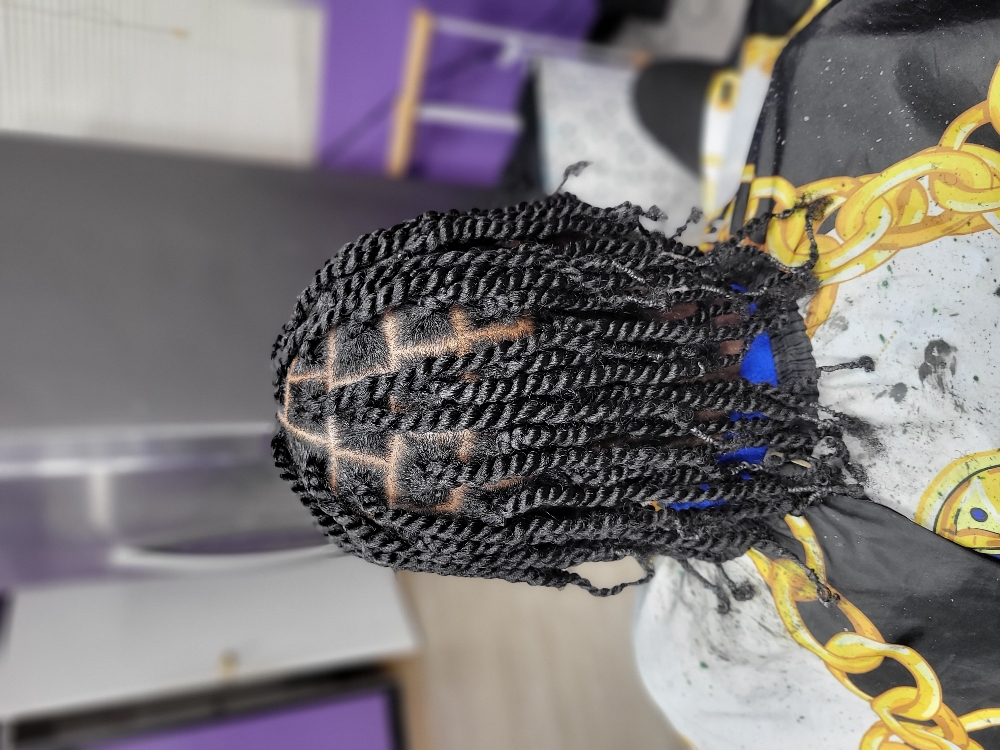 Basic 2 Strand Twist