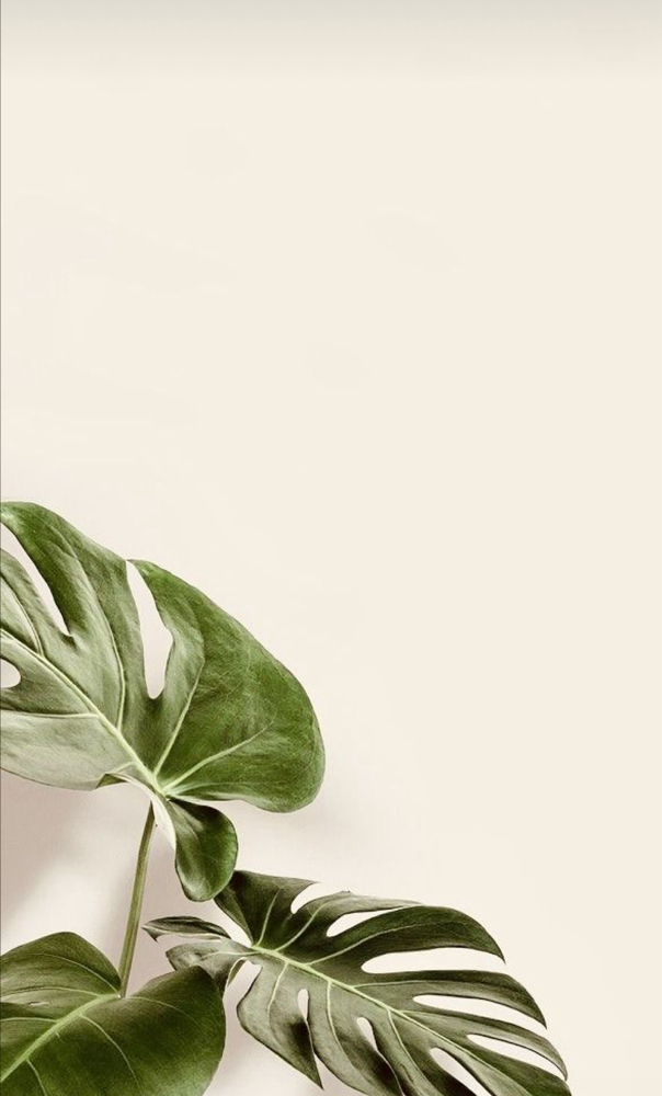Skin Analysis Facial