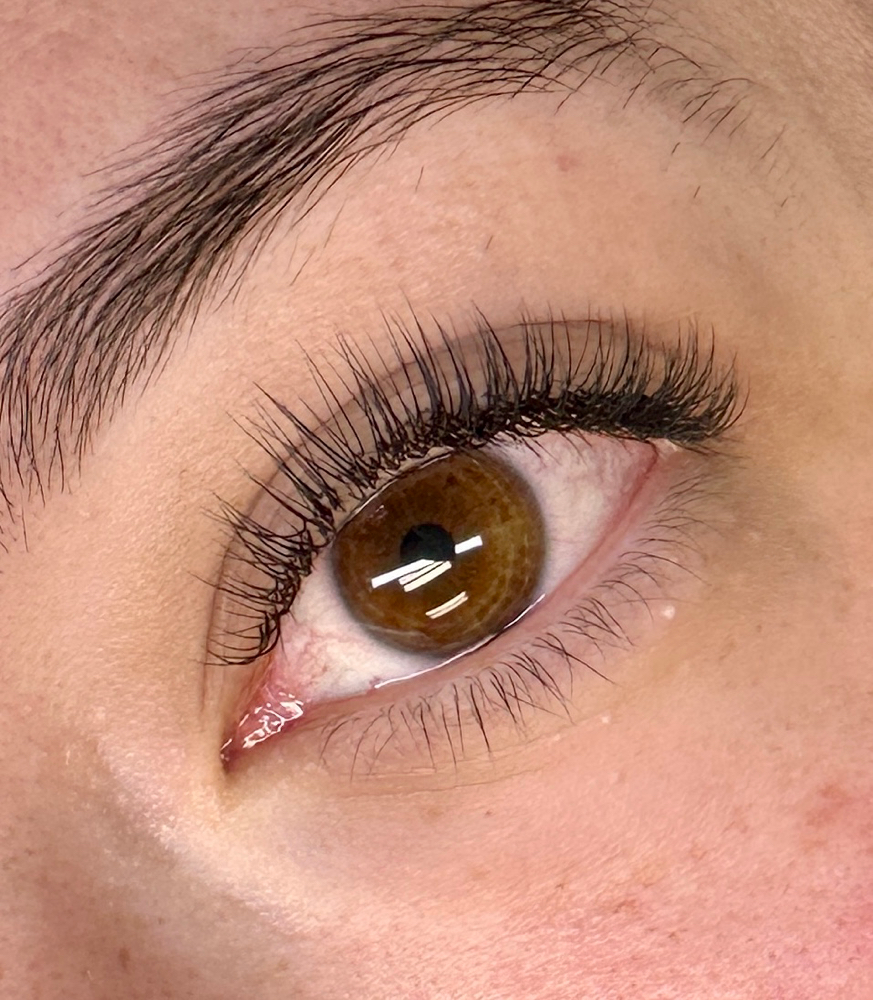 2 Week Classic Fill