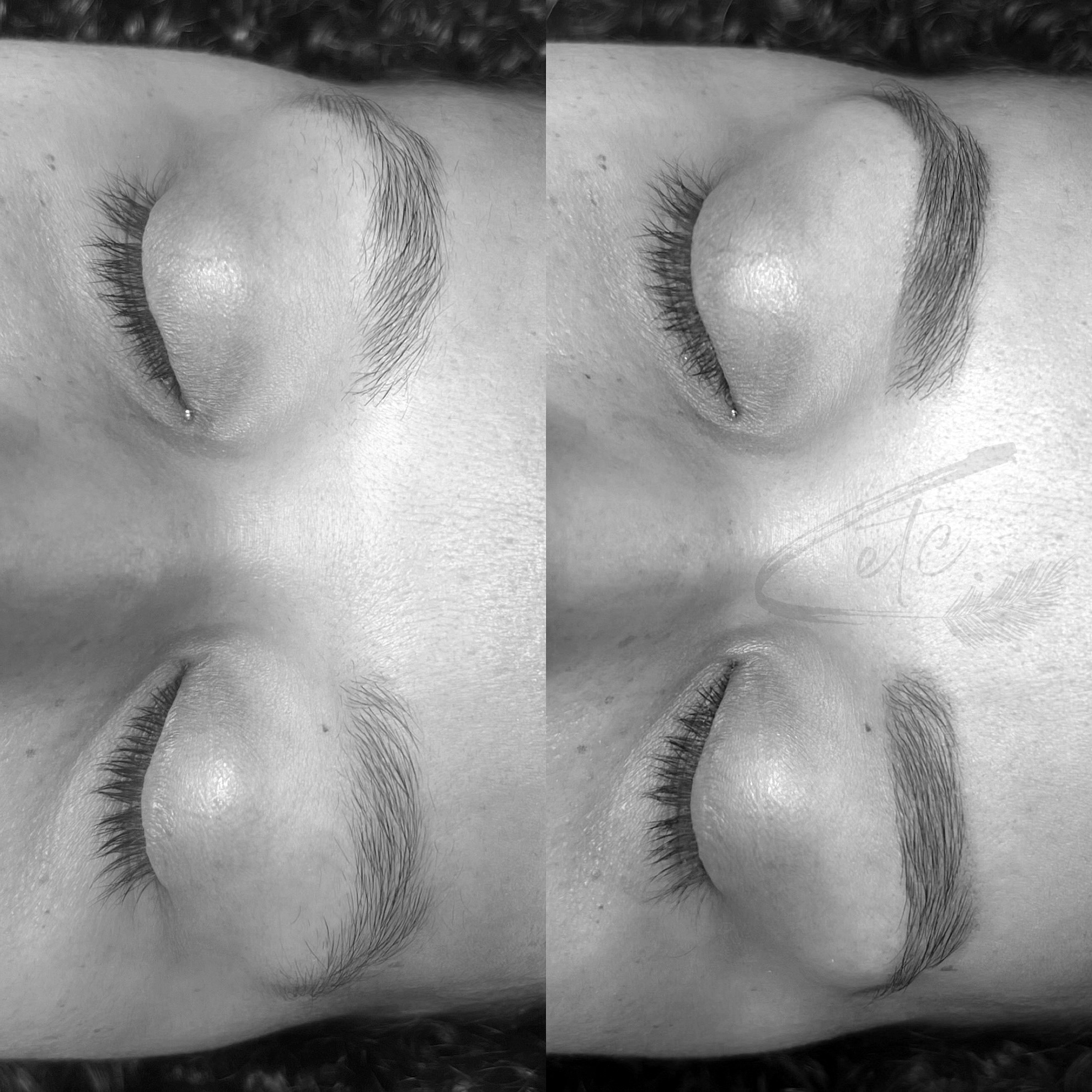 Brow Wax
