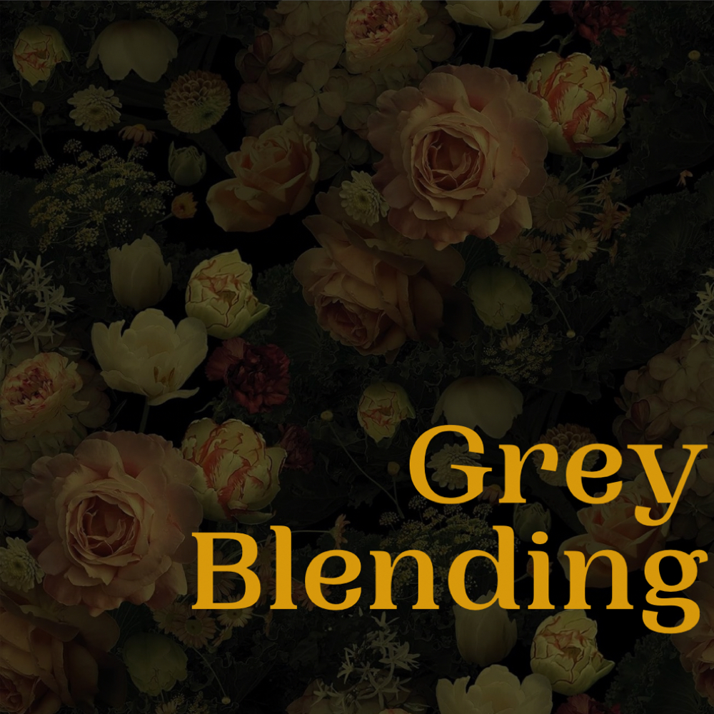 Grey Blending at Trashy Roots Studio in Holly Springs, NC