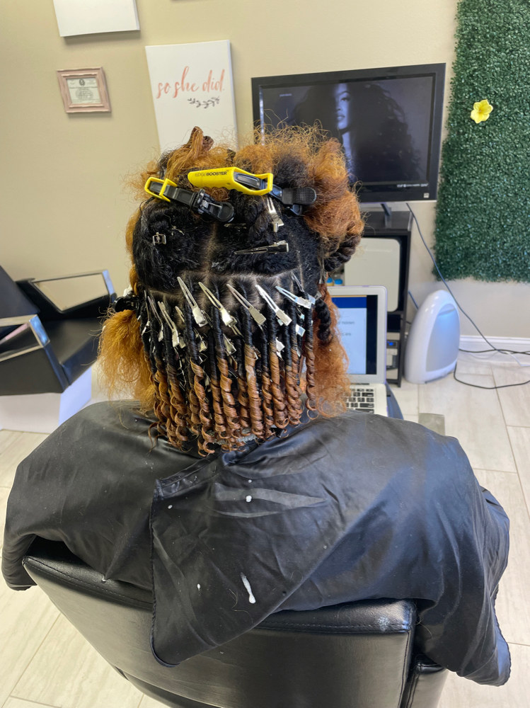 Collar Bone/Shoulder Starter Locs