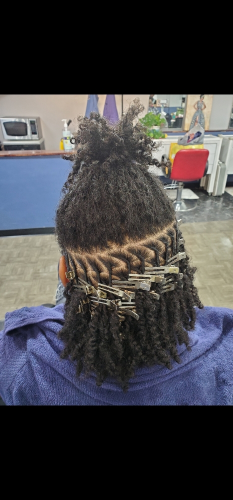 Starter Locs (Two Strand Twists)