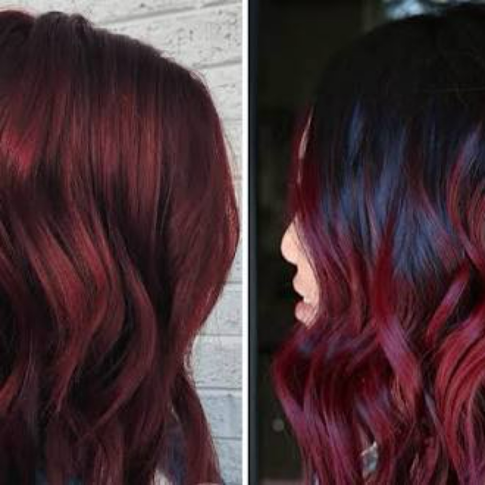 Mulled Wine Roots at Wildflower Beauty Collective in Kingsport, TN