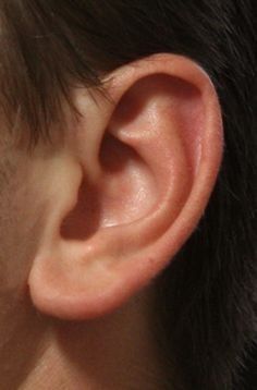 Ear Wax