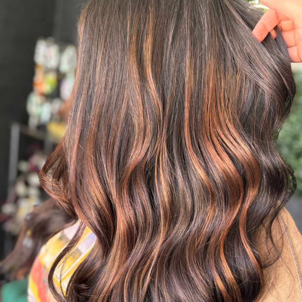 Partial Balayage at Crowned Beauty By Elvira in San Angelo, TX