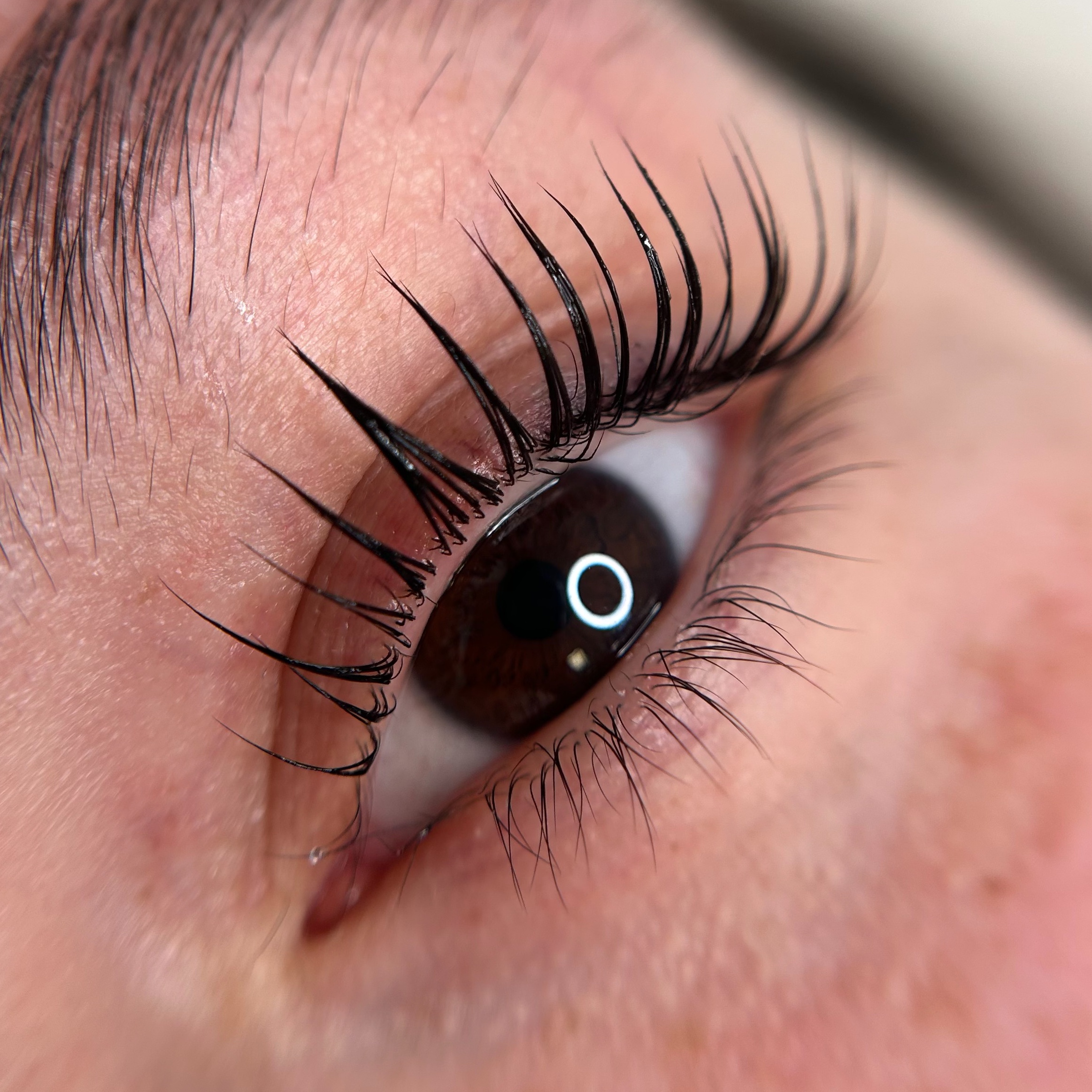 Korean Lash Lift + Tint