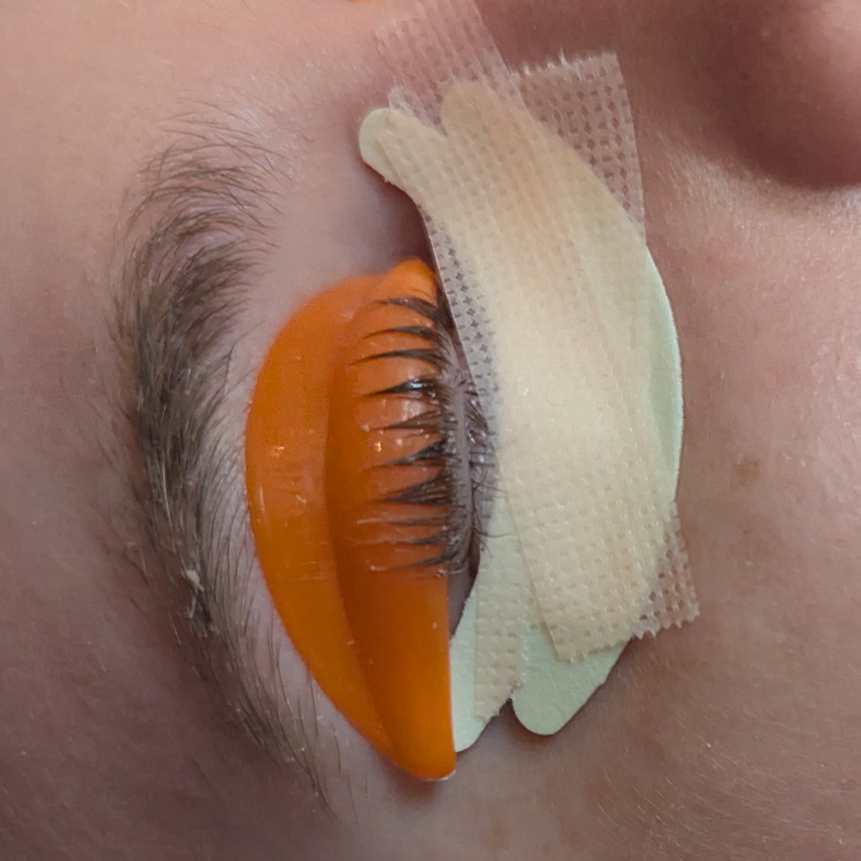Lash Lift at Ritual Skin Spa in Milwaukee, WI