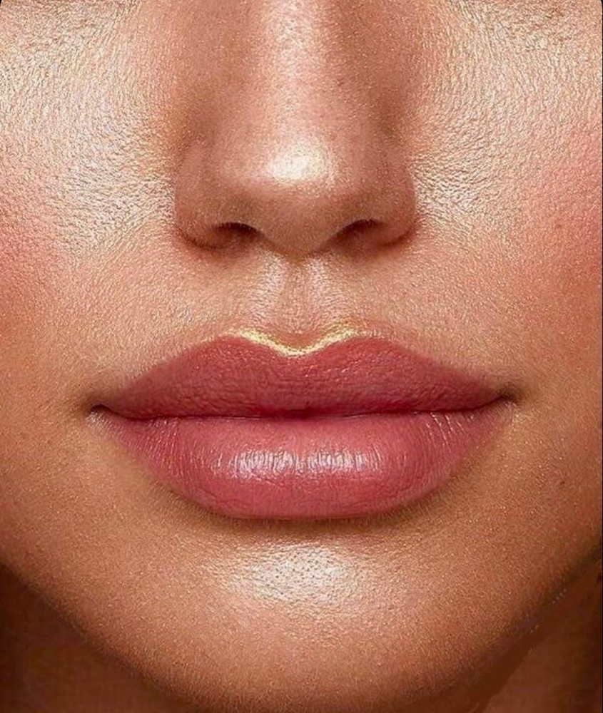 Labios Relleno Basico