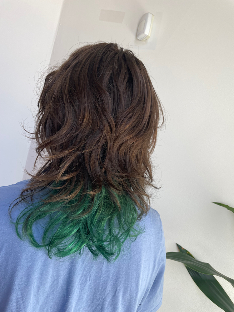 Partial Custom Vivid at Caitlyn Colors in Chicago, IL