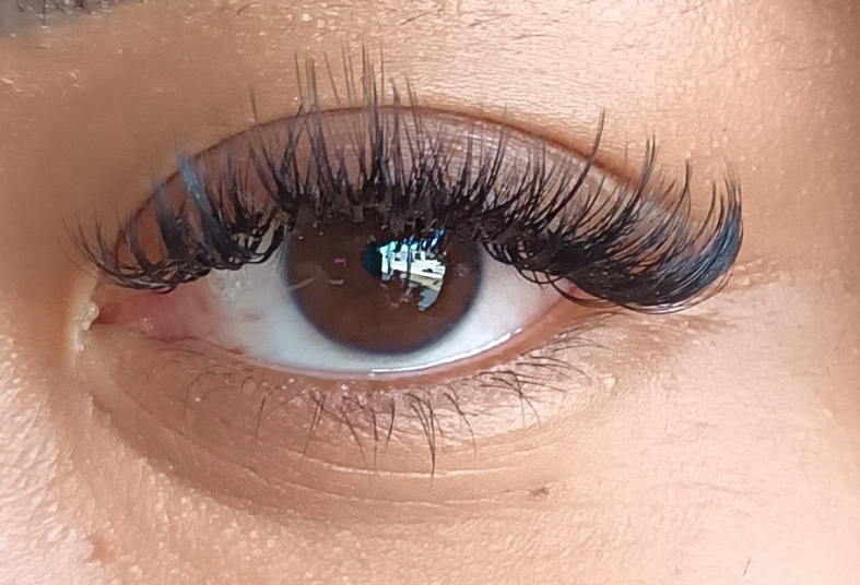 Lash Extentions