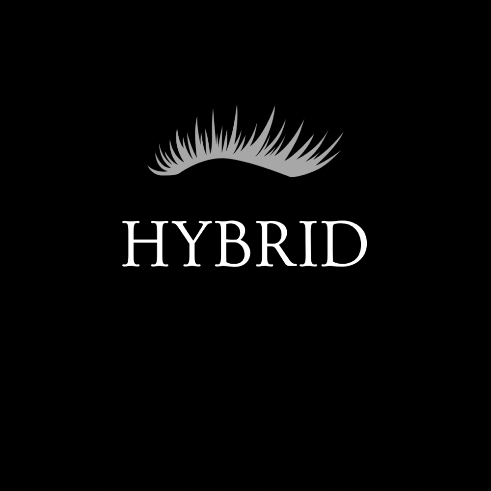 HYBRID EXTENTIONS