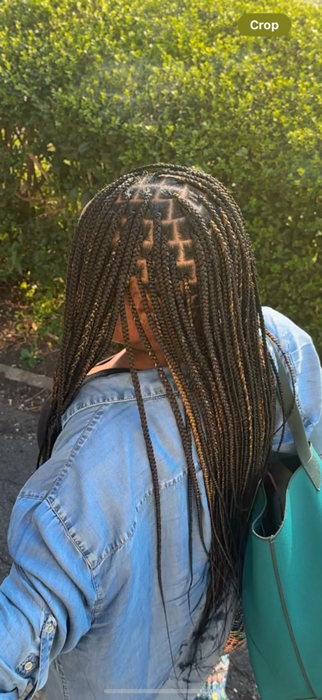 Small Knotless Braids at Dani Natasha in Lackwanna, NY