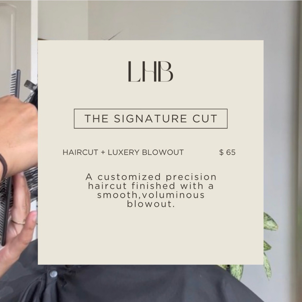 HAIRCUT + BLOWOUT at Lucianas Hair Boutique in Schaumburg, IL