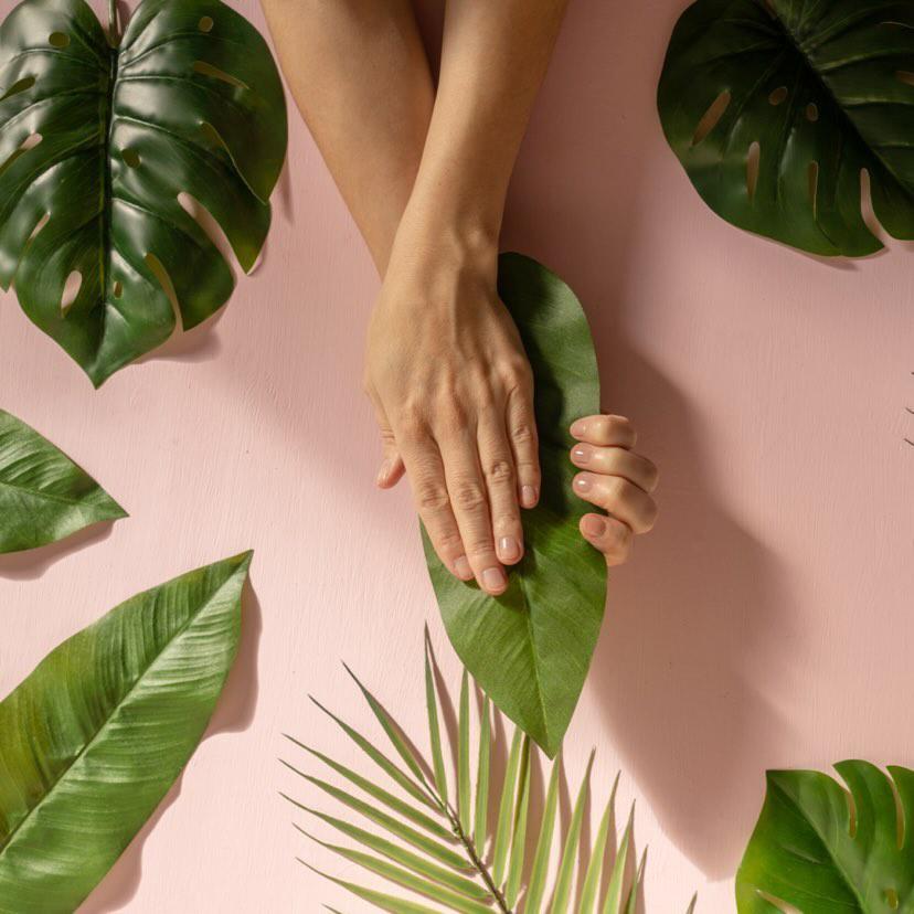 The Manicure