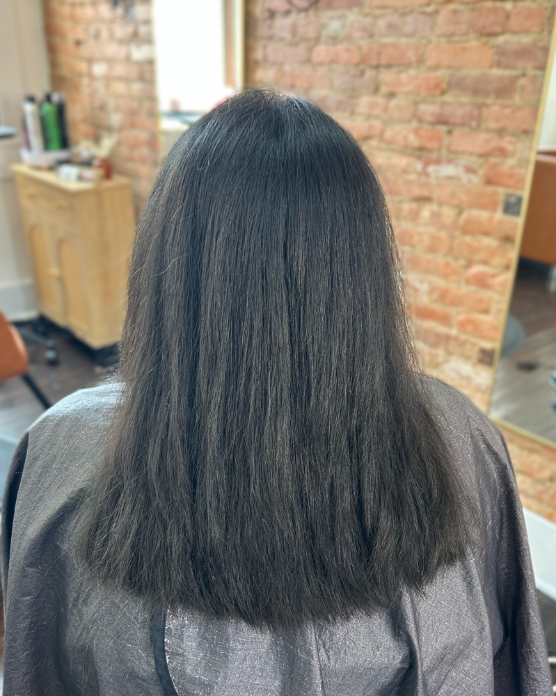Womens Haircut Only