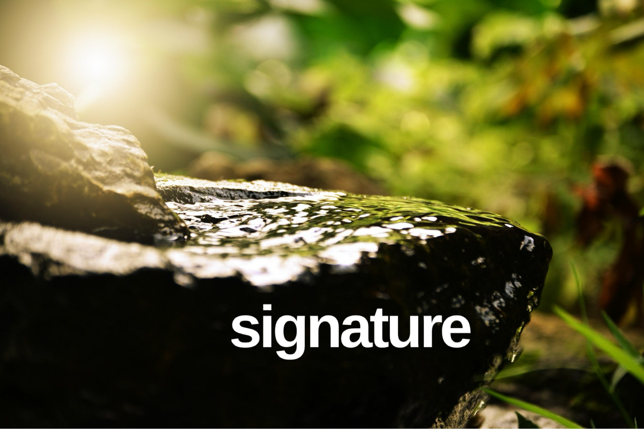 Signature