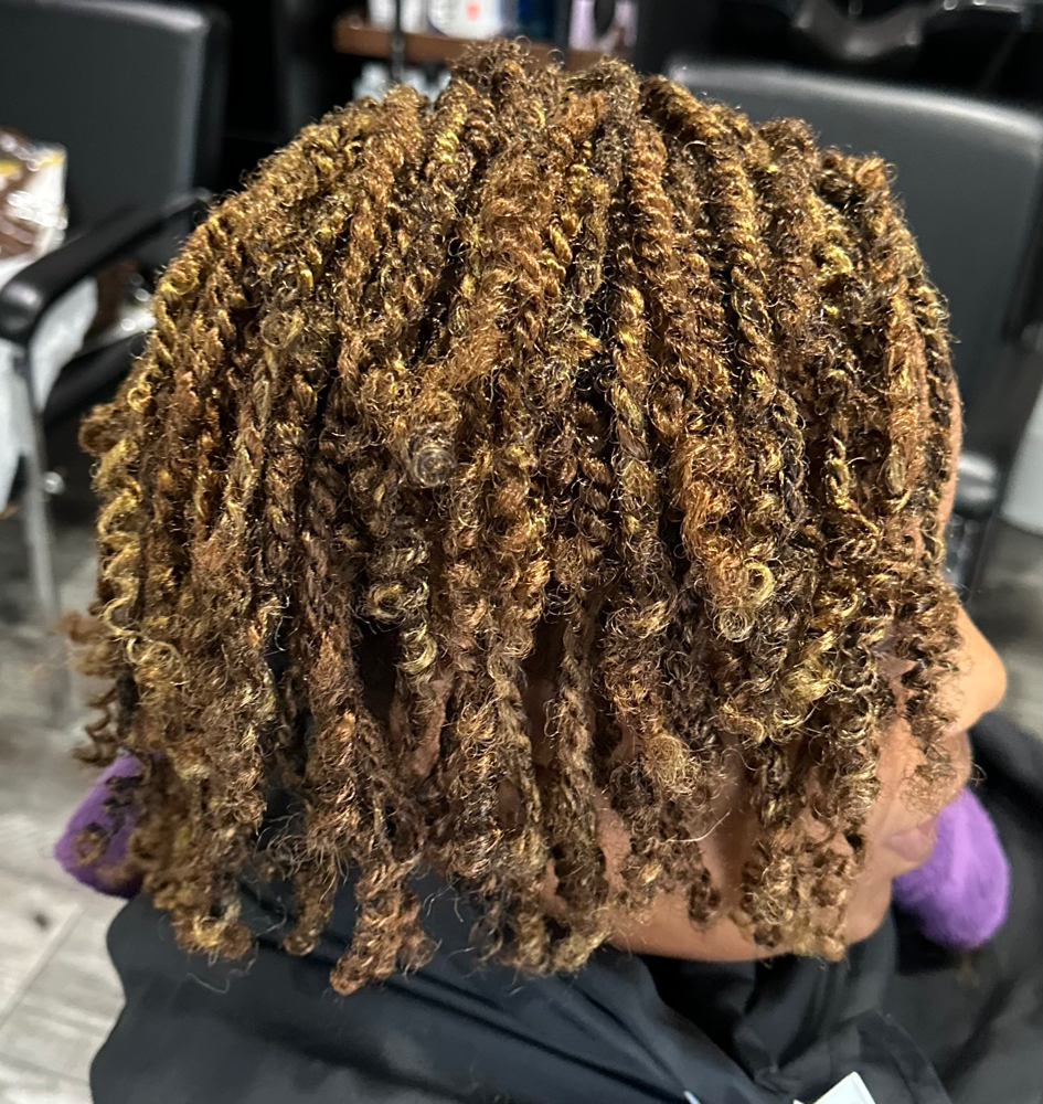 ✨ Two Strand Extension – Kinky Twis