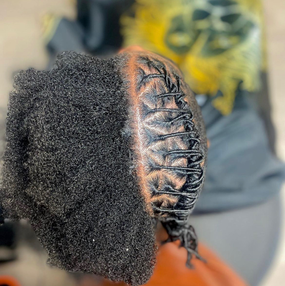 Starter Locs- adult