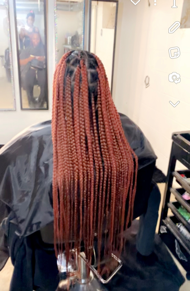 Knotless Braids Large Extra Length