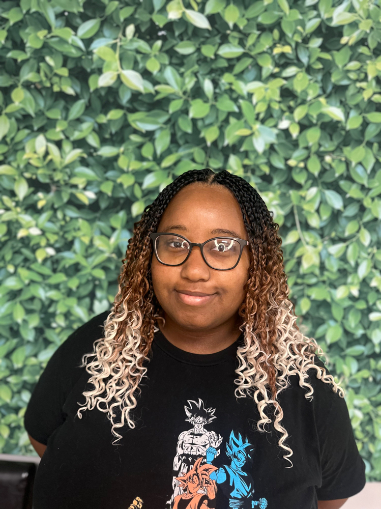 Crochet (Braids/Twist)