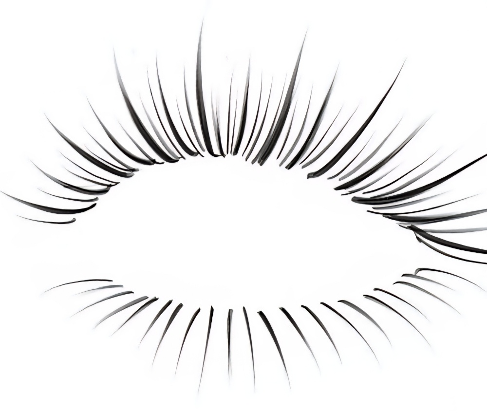 Bottom Lash