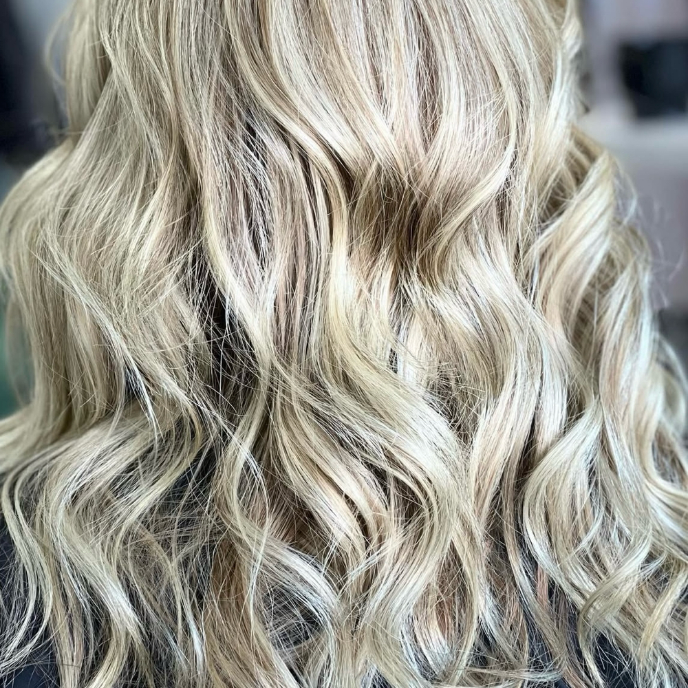 Full Highlights