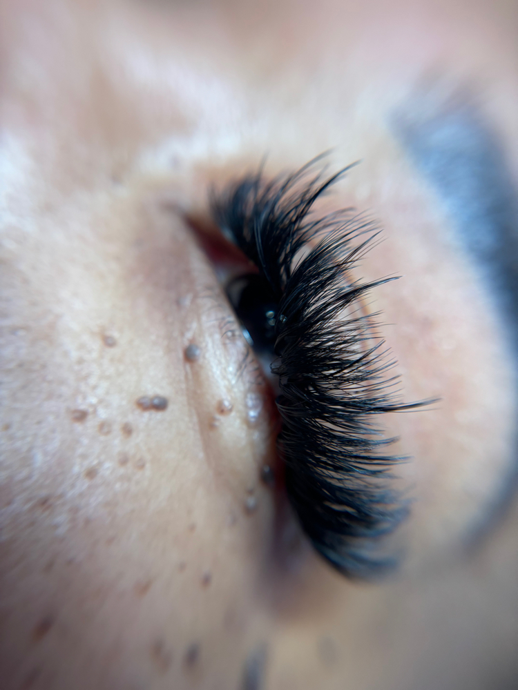 Freestyle Volume Lash Style